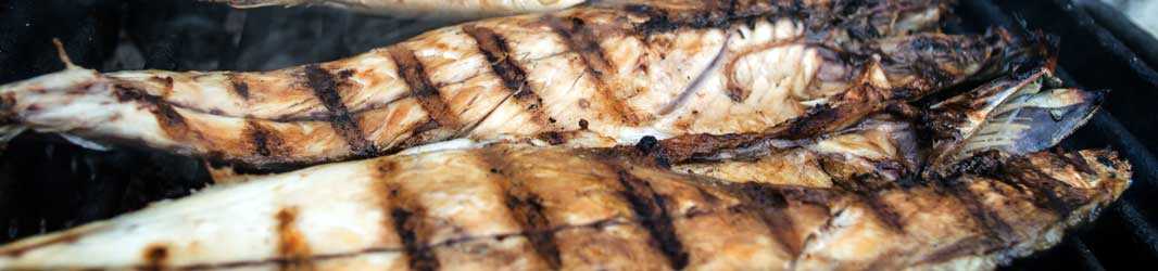 FISCHGERICHTE